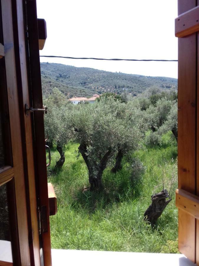 Kálamos Koutadelias Rooms מראה חיצוני תמונה