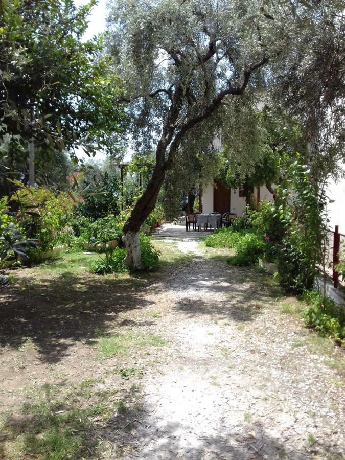 Kálamos Koutadelias Rooms מראה חיצוני תמונה
